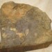 Earthy Oregon Petrified Wood Wedge, Highly Polished Free Standing Specimen, Protection, Grounding