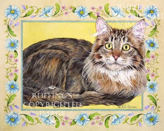 Maine Coon Cat 8.5 x 11 Giclee Fine Art Print Signed A E Ruffing
