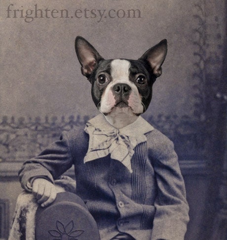 Dog Art, Mixed Media Collage Print, Henry Portrait of a Boston Terrier,  8x10 Altered Victorian Photograph