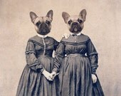 French Bulldog Art Print, Mixed Media Collage Print, The Bully Girls, 5x7 Matte Altered Portrait of Twin Sisters, frighten