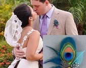 Peacock Weddings, Feather Boutonniere, Bridesmaids Hairclip, Bridal Party Fascinator, Groom Brooch Pin, PLUTORIA