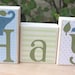 Elephant name block set with your initials or any other name- Hayden - Eli's elephant