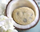 Tropical Cookies - Coconut Chocolate Chip Shortbread 1 Dozen Cookies - Summer Celebrations