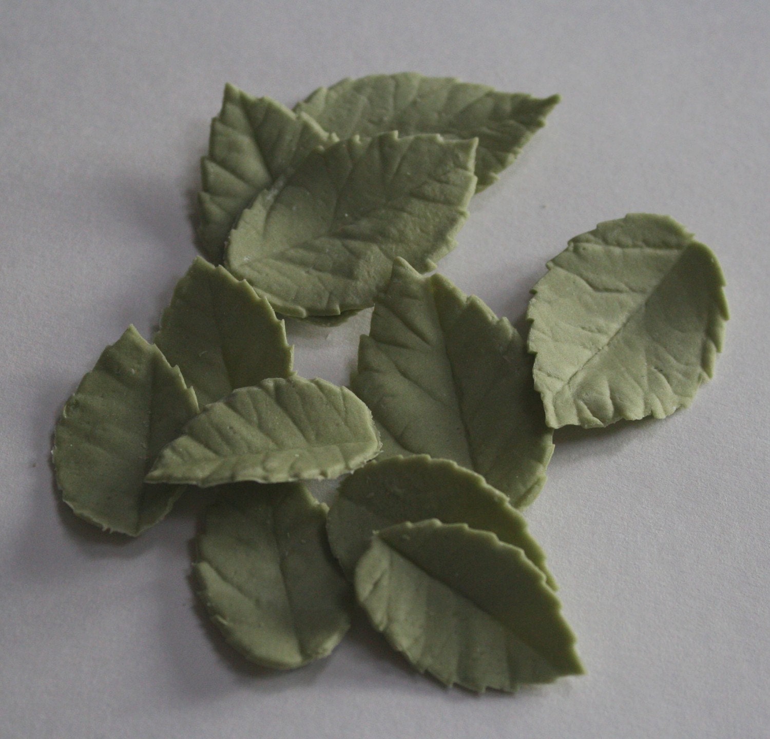 rose leaves