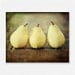 Kitchen Decor, Rustic Kitchen, Country Kitchen, Food Photography, Pears, Yellow, Brown, , Country Chic, Cottage Chic, Kitchen Art.