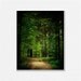 Emerald Green Woodland Decor, Forest, Oz, Green Woods, Trees Deep Green, Forest Art, Nature Photography.