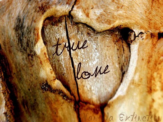 Personalized Wedding Photography Anniversary,Gifts under 25,shabby chic,heart,tree,wood,unique