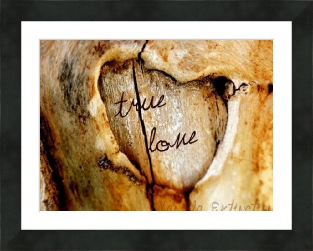 Personalized Wedding Photography Anniversary,Gifts under 25,shabby chic,heart,tree,wood,unique