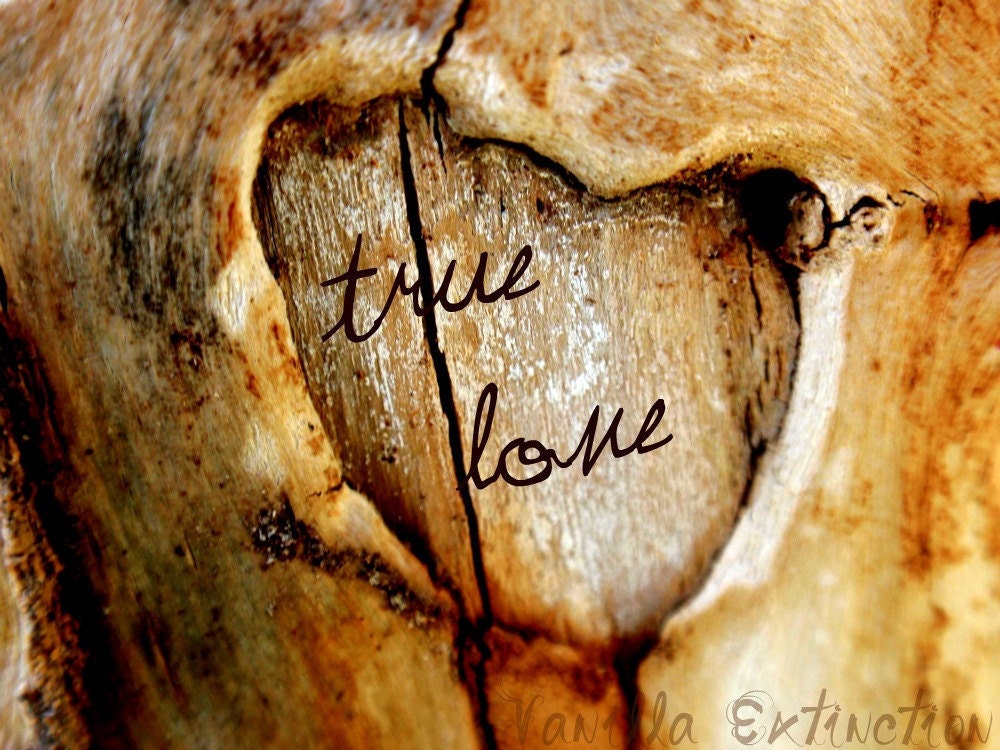Personalized Wedding Photography Anniversary,Gifts under 25,shabby chic,heart,tree,wood,unique
