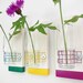 THISTLE: modern saturated colors wall mount flower vase set