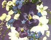 PURPLE PANSY Pressed Pansy Art Real Pressed Flowers Purple and White Pansy Bouquet Reproduction--In White 8x10" Mat Ready For Framing