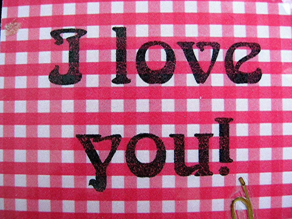 I LOVE YOU Real Flower Bookmark Valentines Love Friend Gift Pressed Flower Bookmark White Larkspur Red Gingham