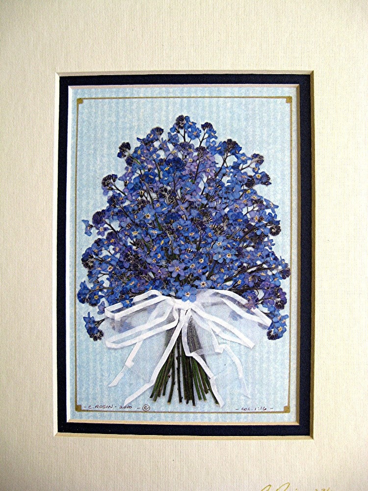 Forget Me Not Flower Art Reproduction Pressed Flower Bouquet Blue Forget Me Nots White Ribbon Matted 8x10" Size Ready to Frame