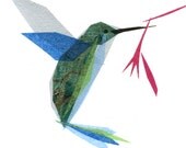 henrietta hummingbird - print