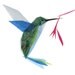 henrietta hummingbird - print