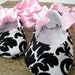 Damask Ballet Baby Booties