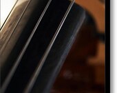8.75" x 12.00" Canvas Wall Art, Stringed Instrument, Violin, Viola, Cello, Bass, Music, Fine Art Photography by Glennis Siverson