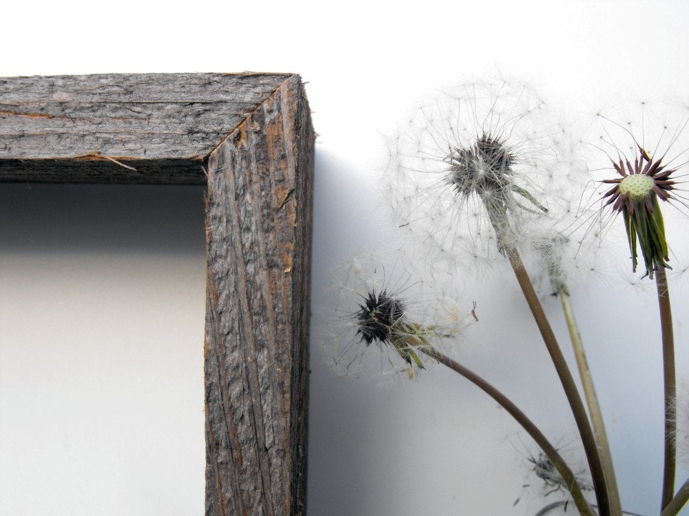 Barnwood Shadow Box Shelf