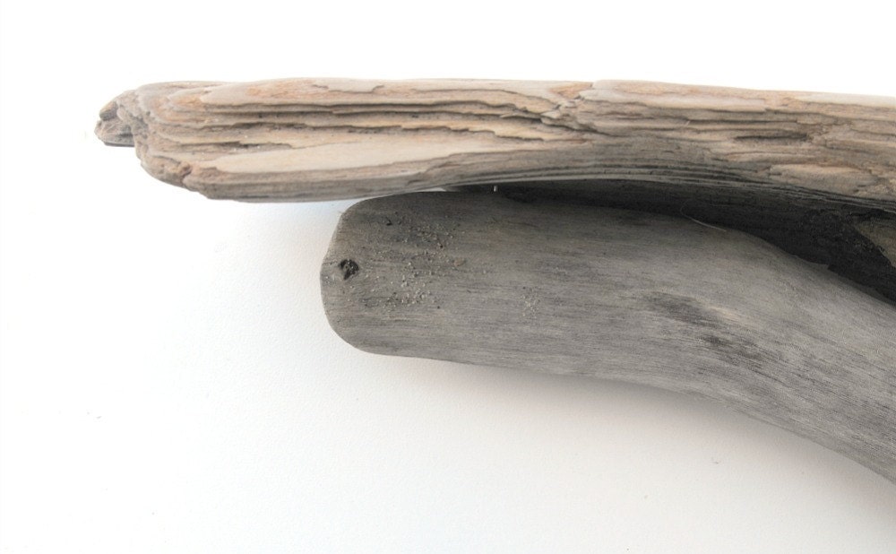 Driftwood Shelf No. 58