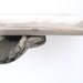 Driftwood Shelf No. 59