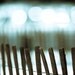 Photography - Blue photography - Born of the neatness of habit - gift for him - fine art print - 8x12