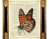Butterfly Monarch Insect - Vintage Victorian Book Page Art Print Steampunk