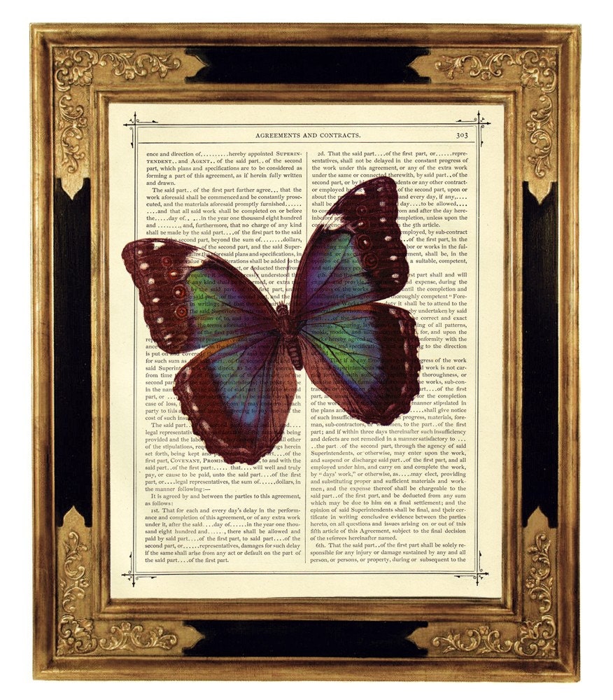 Butterfly Morpho Insect - Vintage Victorian Book Page Art Print Steampunk