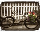 Bicycle  11x14 photograph