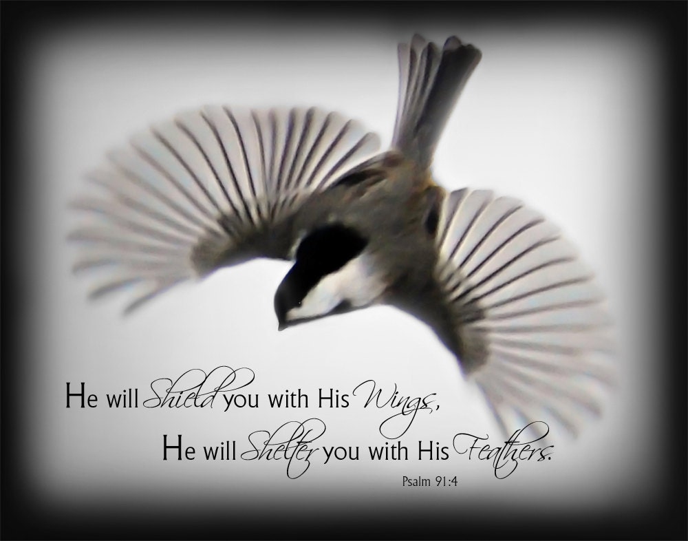 Wings  11x14 Fine Art Photograph