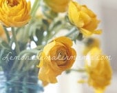 Ranuculus (facing right)