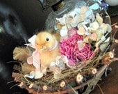 Vintage Baby Duck In Nest with Dried Hydrangea and Peony