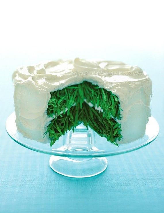 Grass Cake with Vanilla Frosting Fine Art Photograph Photo