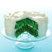 Grass Cake with Vanilla Frosting Fine Art Photograph Photo