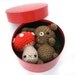 bunny mushroom toadstool glitter plush amigurumi easter basket crochet stuffed animal box gift set red white brown bow OOAK ready to ship