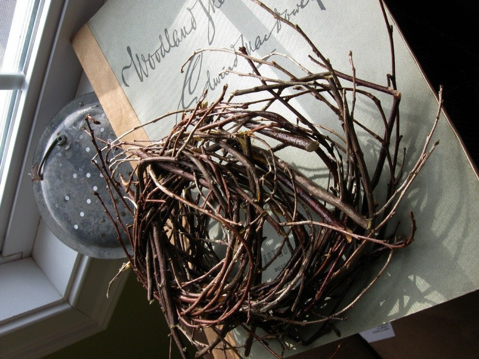 Handcrafted Bird Nest / Birch Twig / Natural / Unadorned