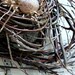 Handcrafted Bird Nest / Birch Twig / Natural / Unadorned
