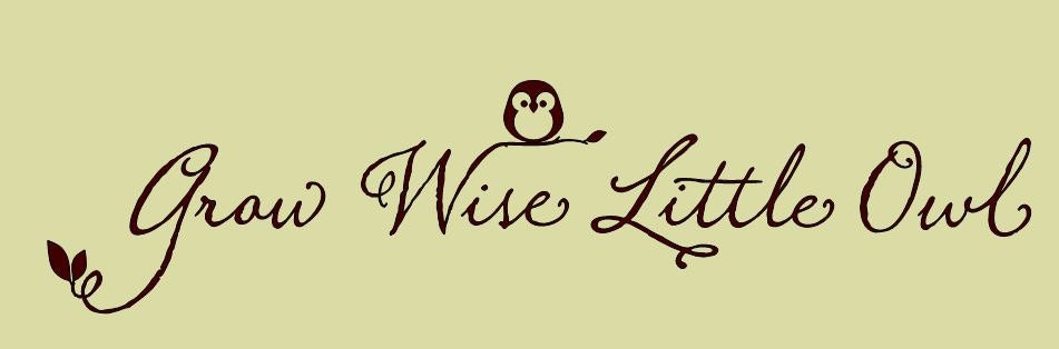Grow Wise Little Owl Vinyl Wall Quote Decal Nursery or Childs Room