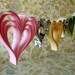 Spring Fling Heart paperie a garland of hand cut hearts