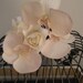 Wedding Card Box / Retro Style / Peacock Feathers / Orchids / Birdcage Wedding Card Holder