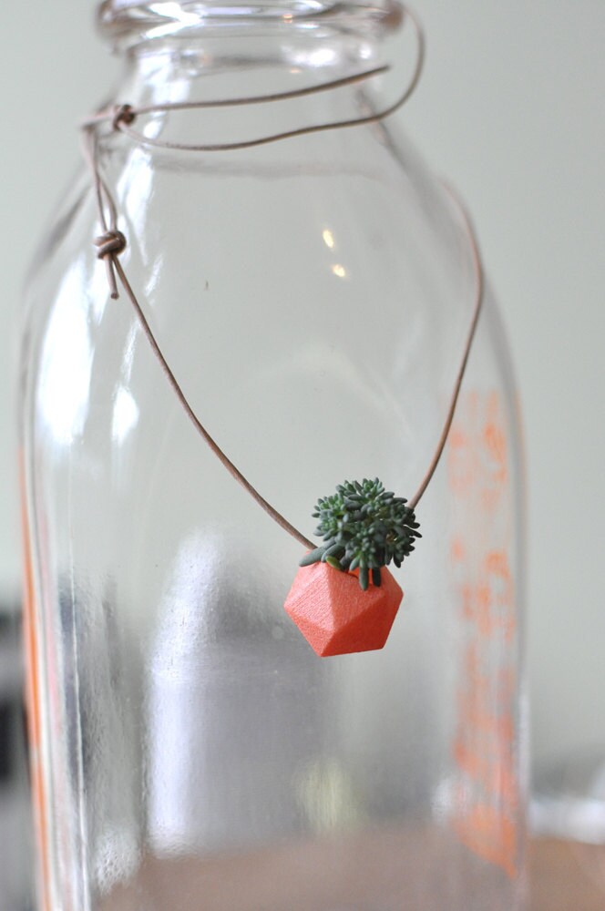 Miniature Icosahedron in Coral: A Wearable Planter
