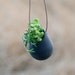 Wearable Planter No. 1, in Black