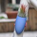 Cobalt Blue Bike Planter