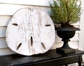 Oversized Sand Dollar Sign Giant Sand Dollar Coastal Style Beach Decor Gulf Coast