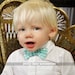Tiffany Blue & White Gingham Boys Bow Tie
