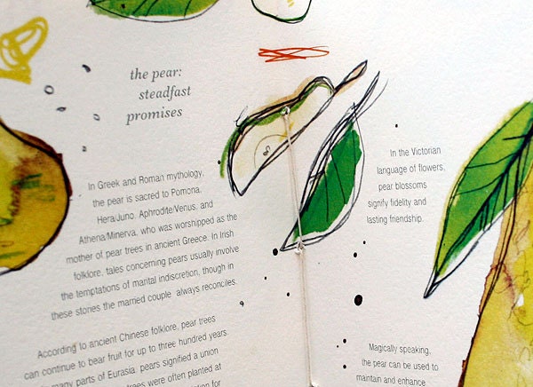 Art Zine "Fruits of Love: A Book of Lore and Magic" Limited Edition