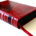 The Vampire - Dracula booksi Dock for iPhone and iPod