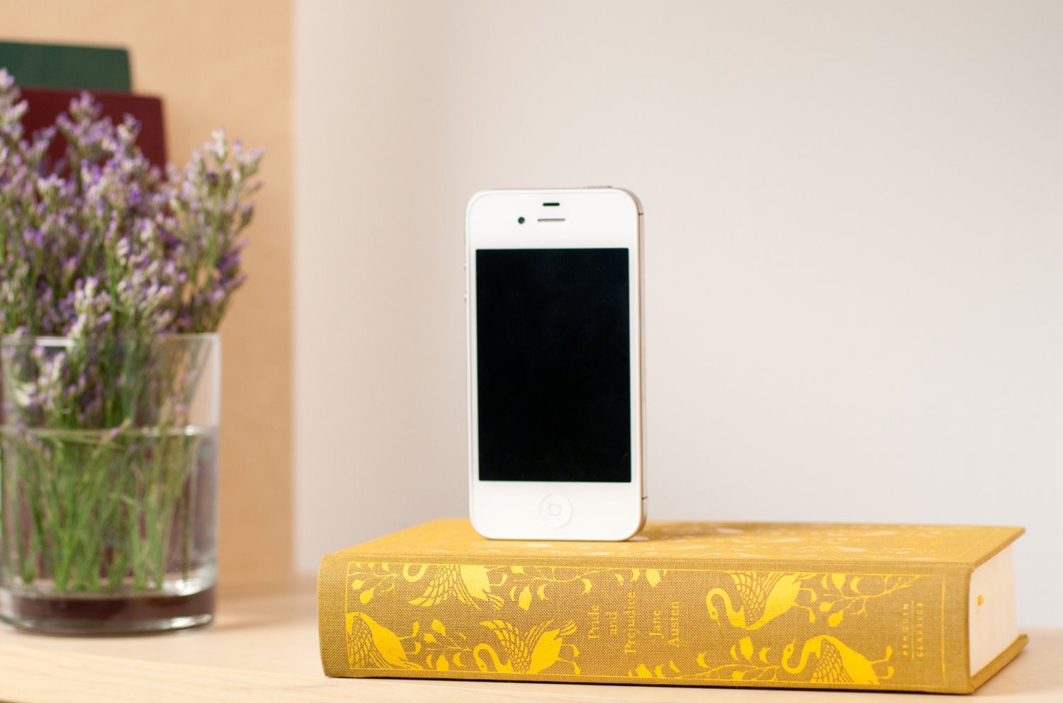 Pride & Prejudice booksi Dock for iPhone - Cloth