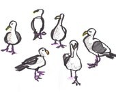 Seagull sketch in neutrals  - 8x10 inch print from an original sketch