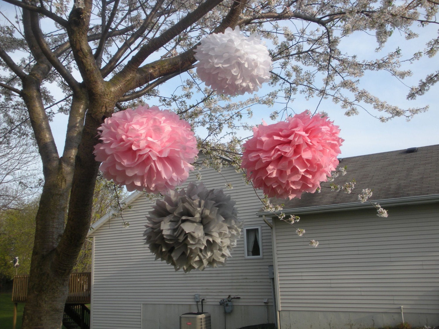 SPECIAL PRICE Poms are larger than most Set of 24 tissue pom poms  You Choose Your Colors