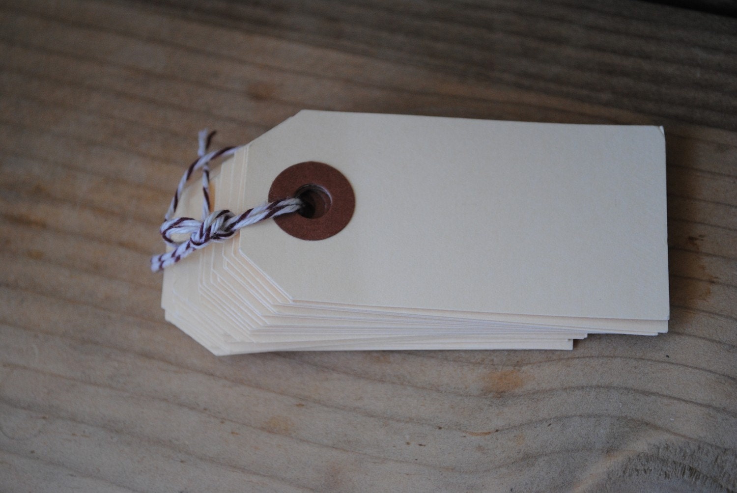 100 Blank Manilla Tags- DIY